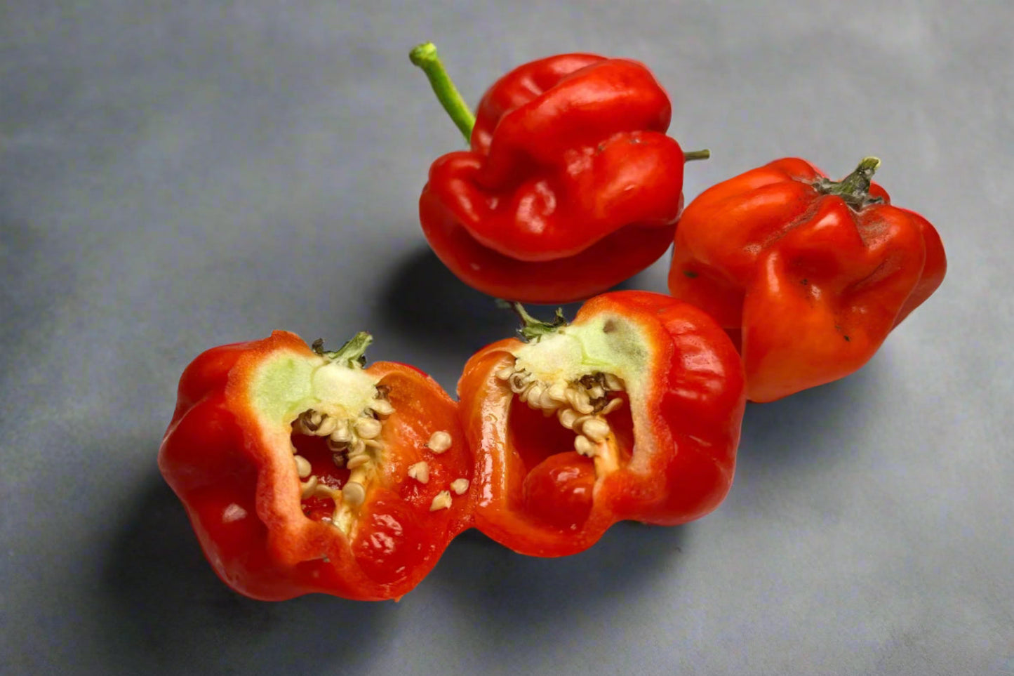 Chilli Habanero Red Seeds
