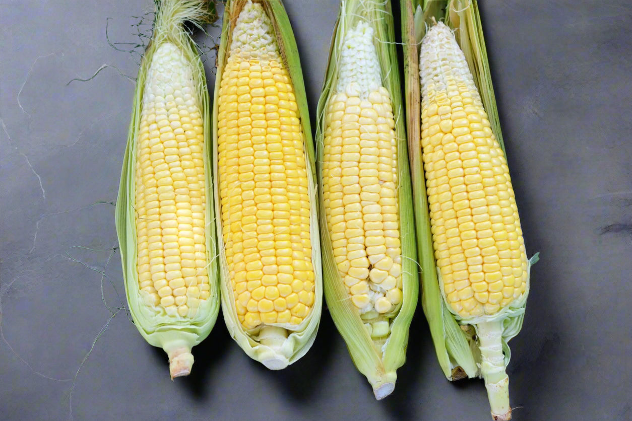 Corn Sweet - Balinese Seeds