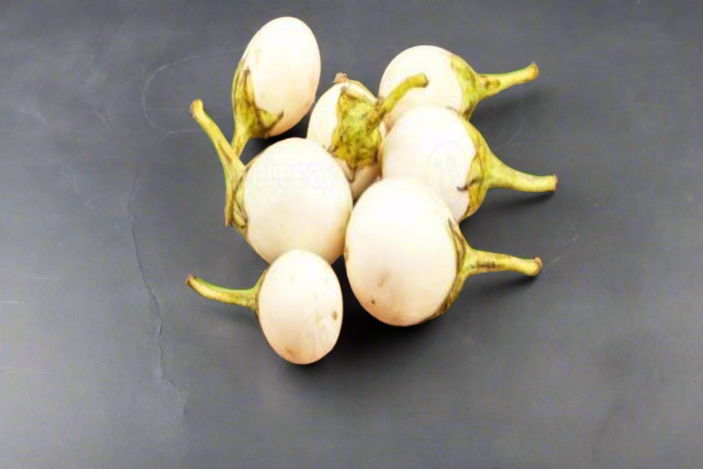Eggplant White Egg