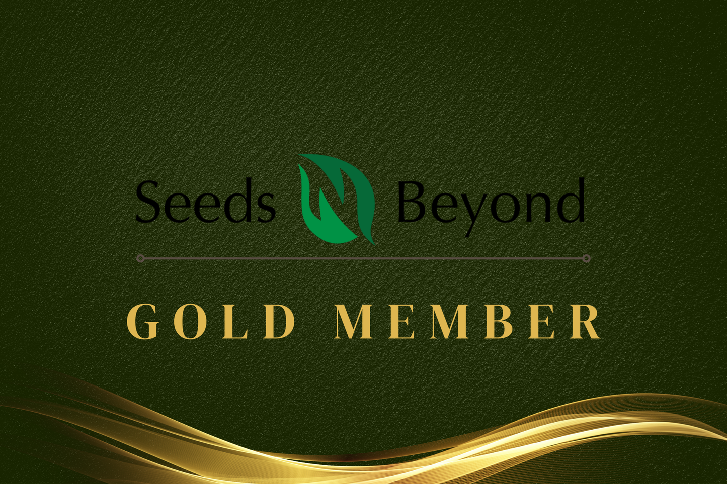 GOLD Membership - 90 Days