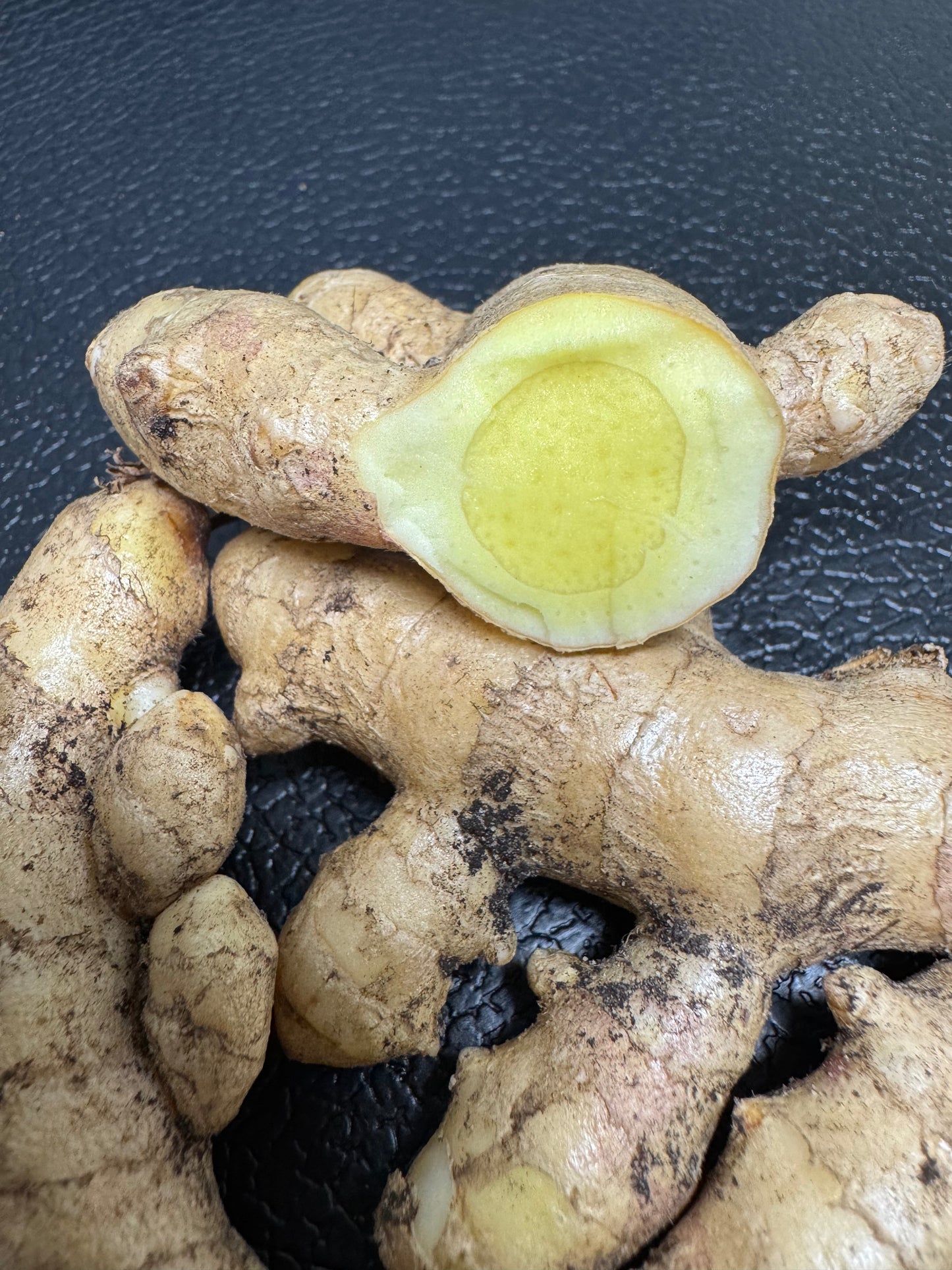 White Turmeric Rhizomes (Curcuma zedoaria)