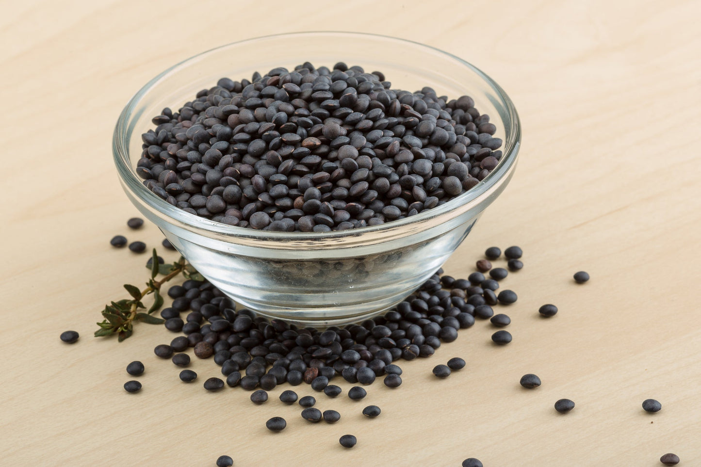 Lentils - Black Sprouting | BULK