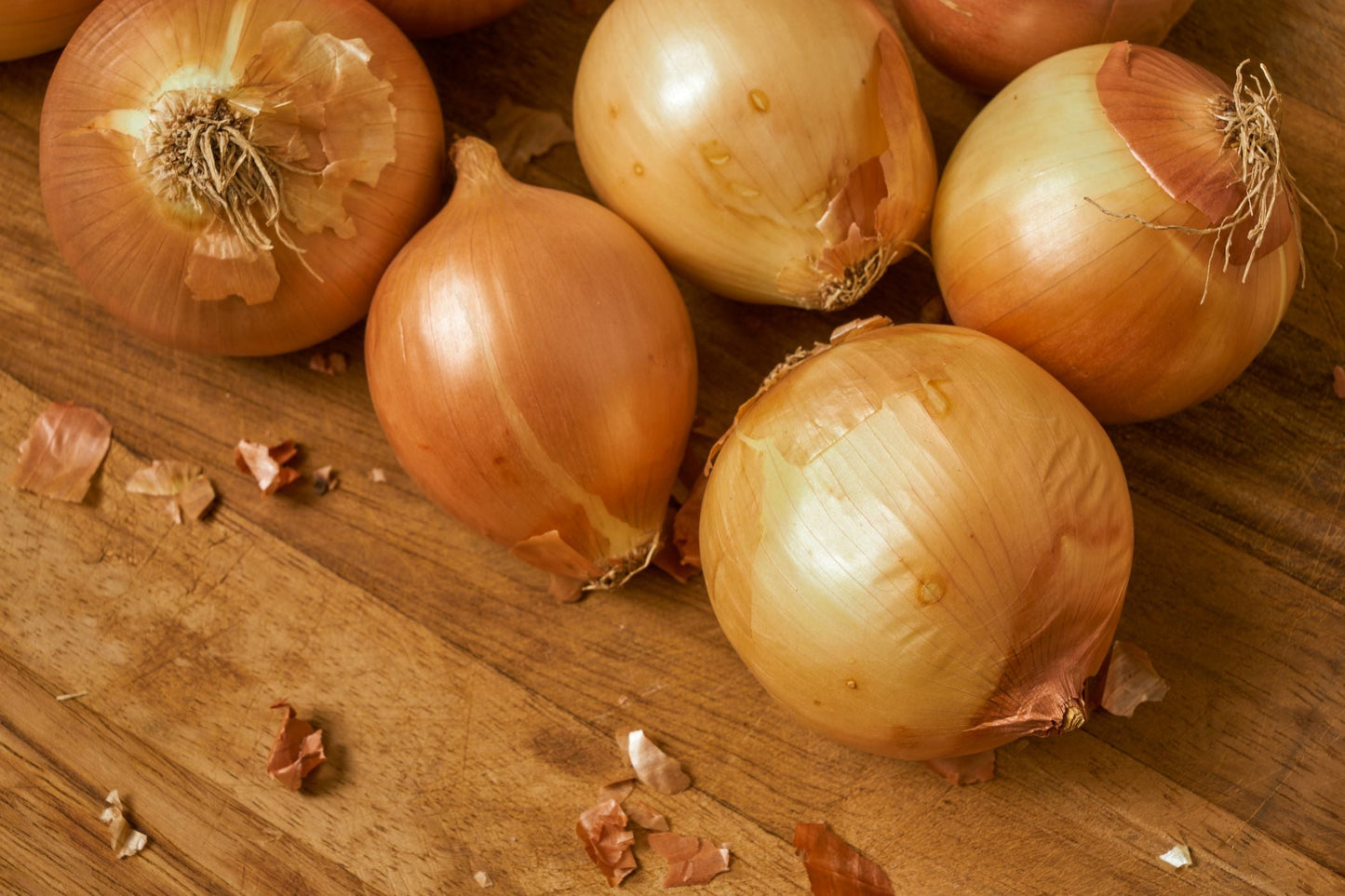 Onion - Gladalan Brown Seeds