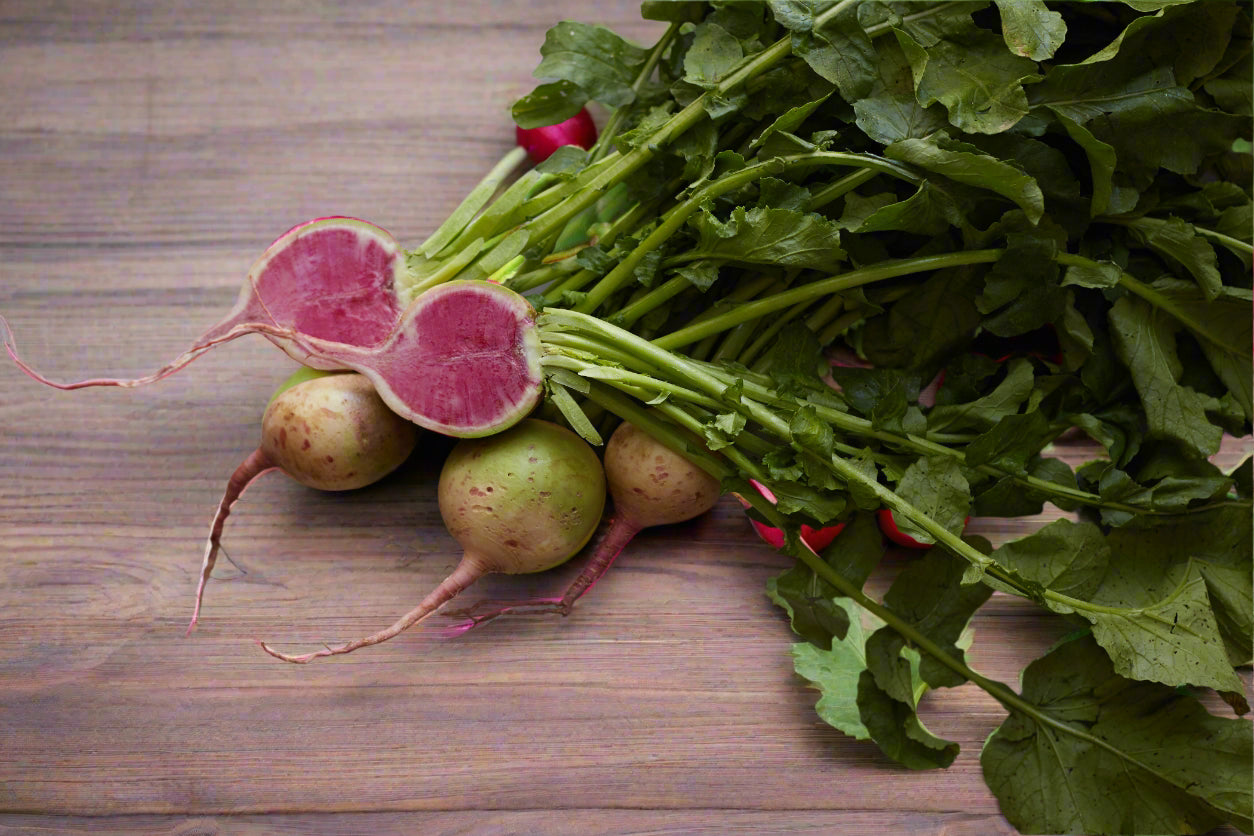 Radish - Watermelon Seeds