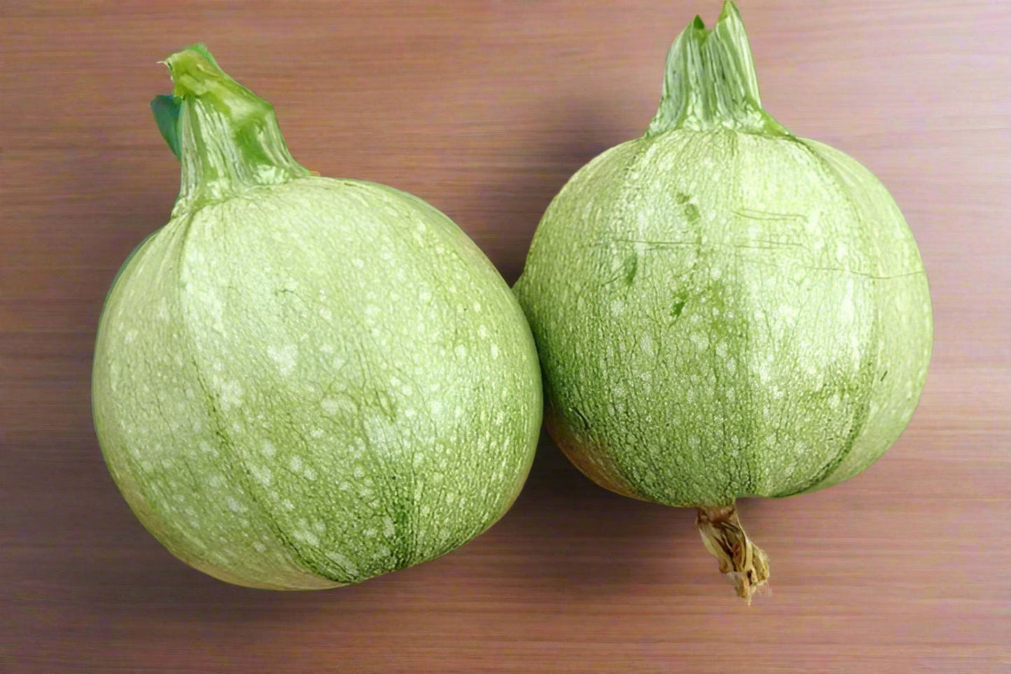 Zucchini- Ronde De Nice