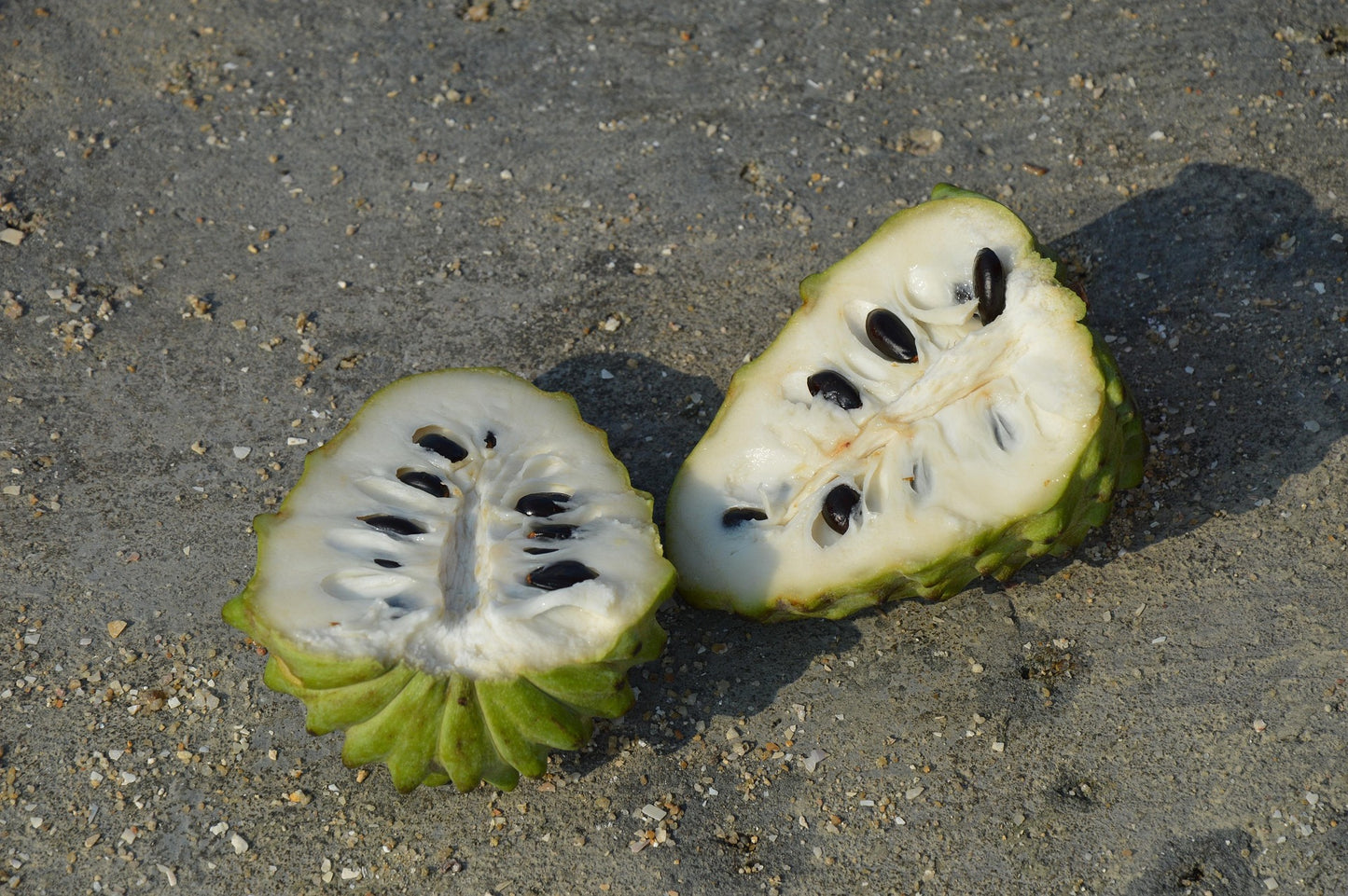 Custard Apple Seeds