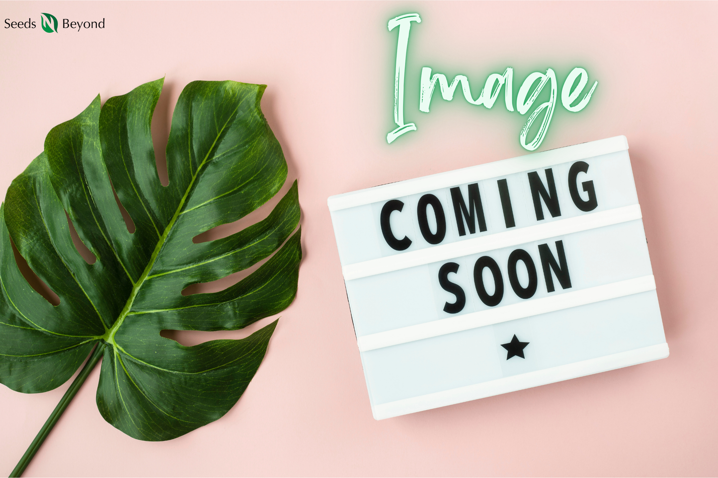 Bitter Melon Canton Green F1 Seeds