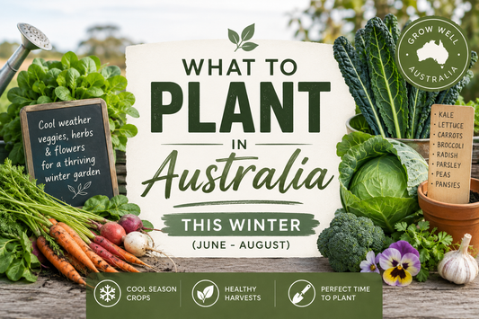 What to Plant in Australia This Winter (June–August 2026)