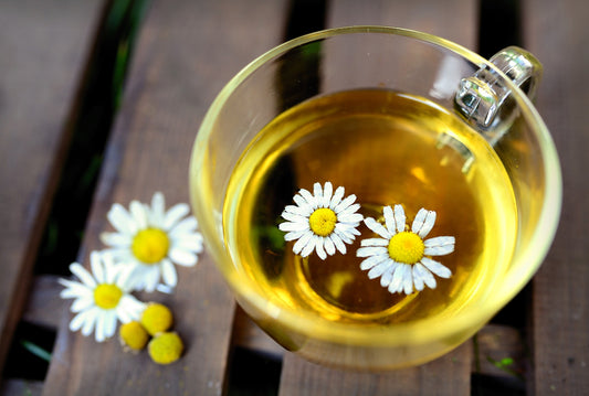 Cultivate Calm: The Benefits of Growing Your Own German Chamomile