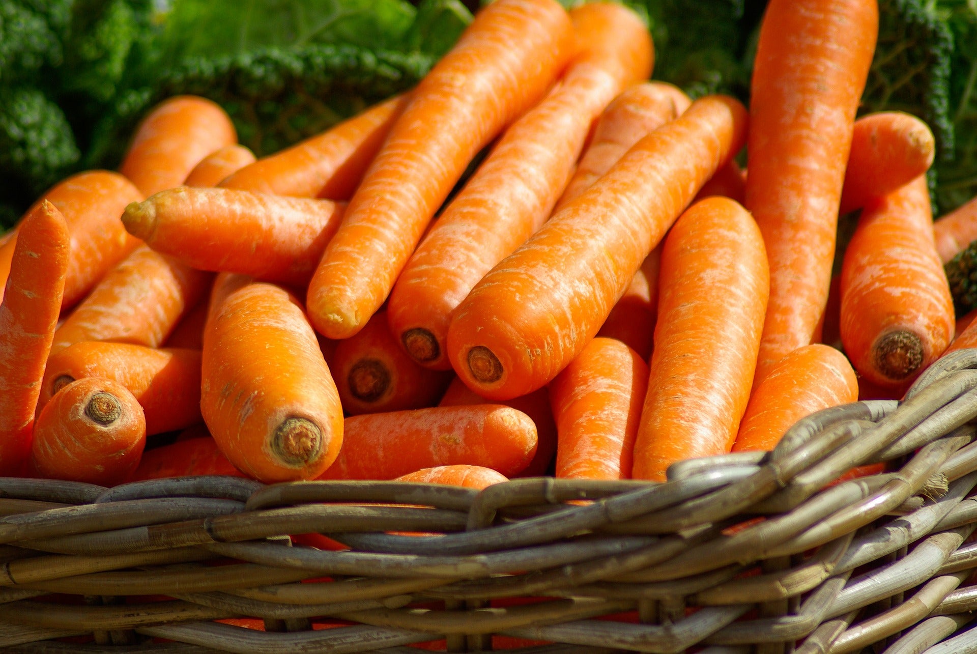 Vegetables – Page 2 – Seeds N Beyond