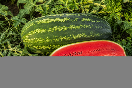 Watermelon Allsweet Seeds product image