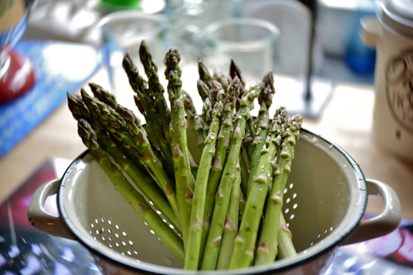 Asparagus- Mary Washington