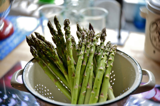 Asparagus- Mary Washington