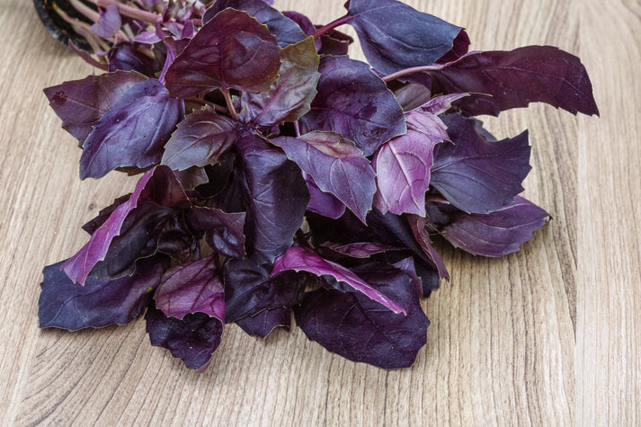Purple Basil - Red Ruby – Seeds N Beyond