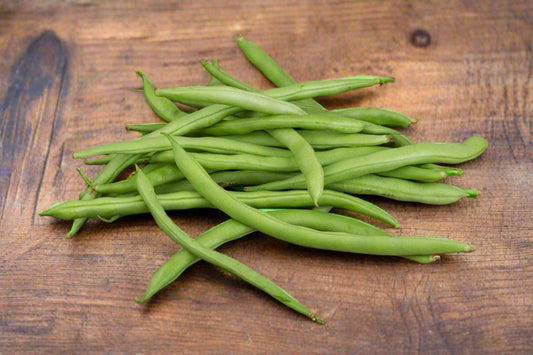 Climbing Bean Blue Lake Seeds