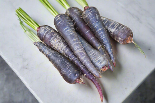 Carrot - Black Nebula Seeds