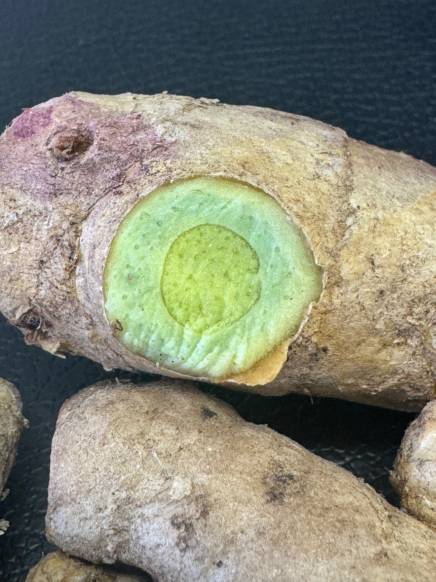 Black Turmeric Rhizome/Crown