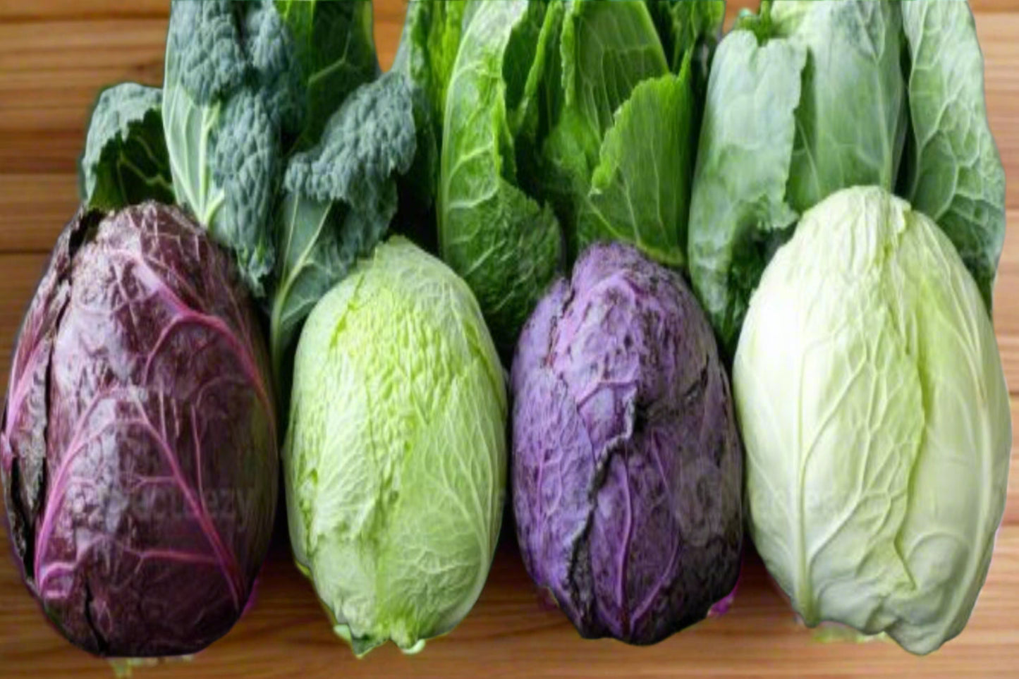 Cabbage Heirloom Mix Seeds