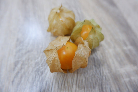 Cape Gooseberry- Dwarf