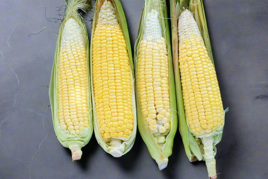 Corn Sweet - Balinese Seeds