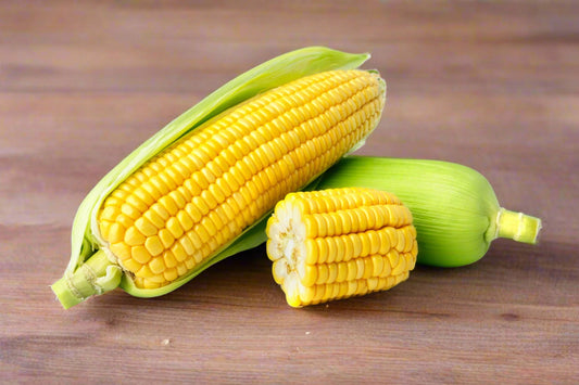 Corn Sweet - Jolly Roger Seeds