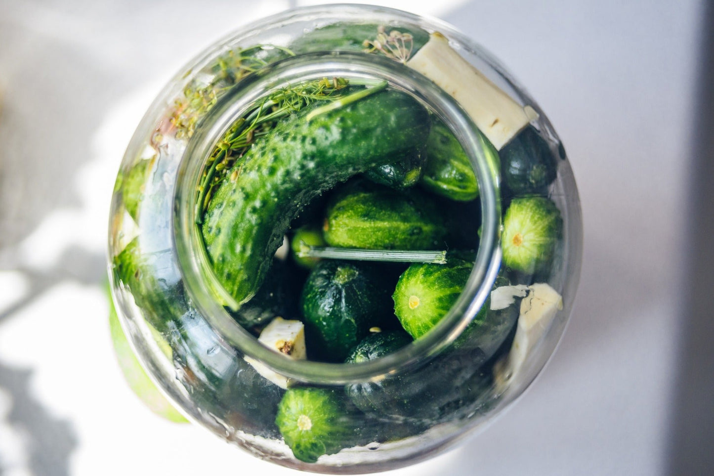 Cucumber - National Pickling seeds - TREATED