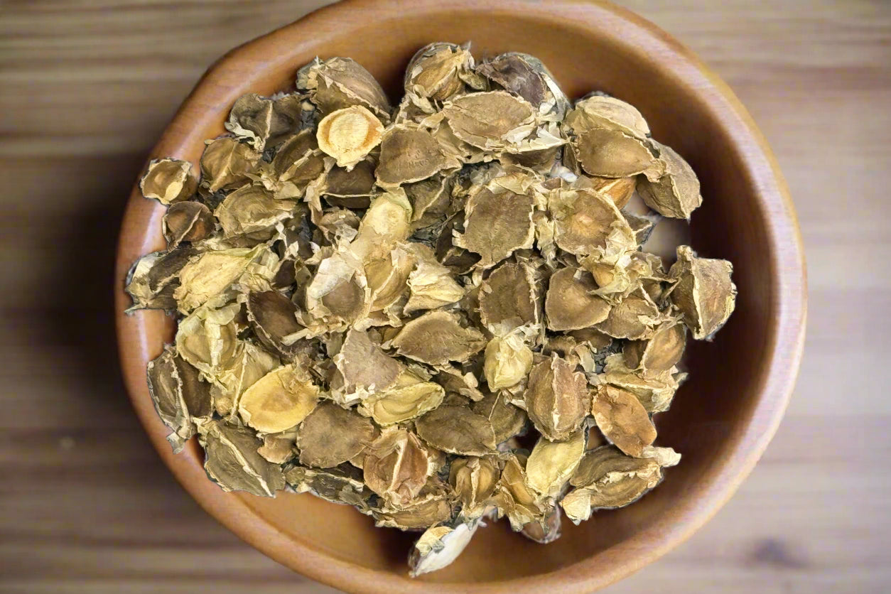 Moringa Tree Seeds