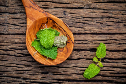 Lemon Balm Seeds