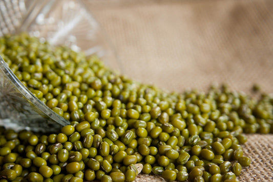 Mung Beans Seeds - Sprout or Cook| BULK