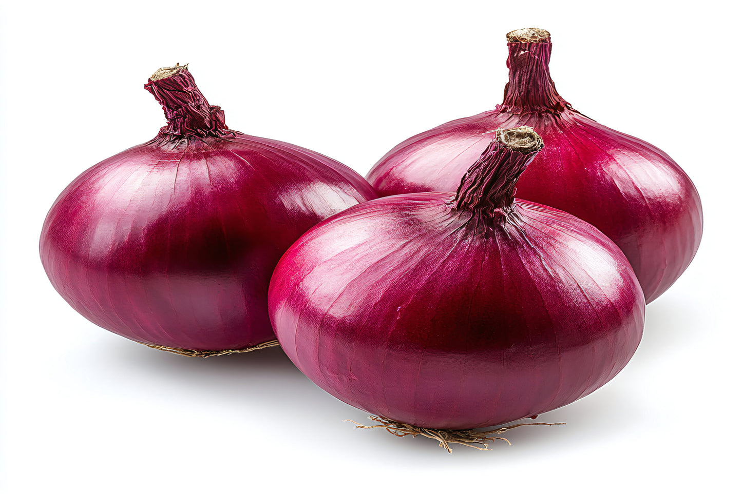 Onion - Red Odourless Seeds