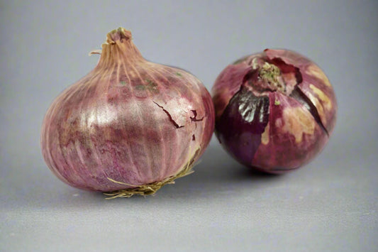 Onion - Amposta Purple Seeds