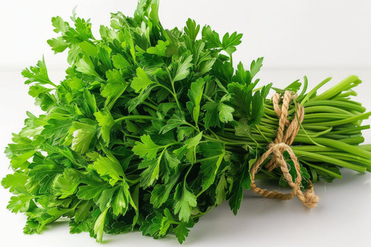 Parsley - Giant of Italy Seeds