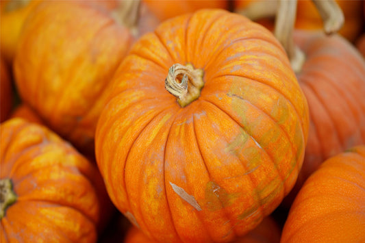 Pumpkin Golden Nugget Seeds