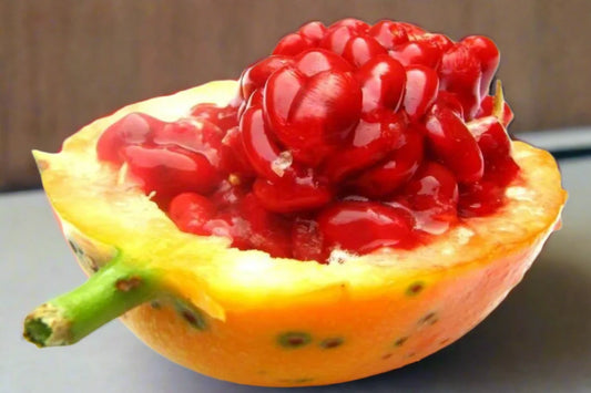 Red Sugar Passion Fruit Seeds (Organic)