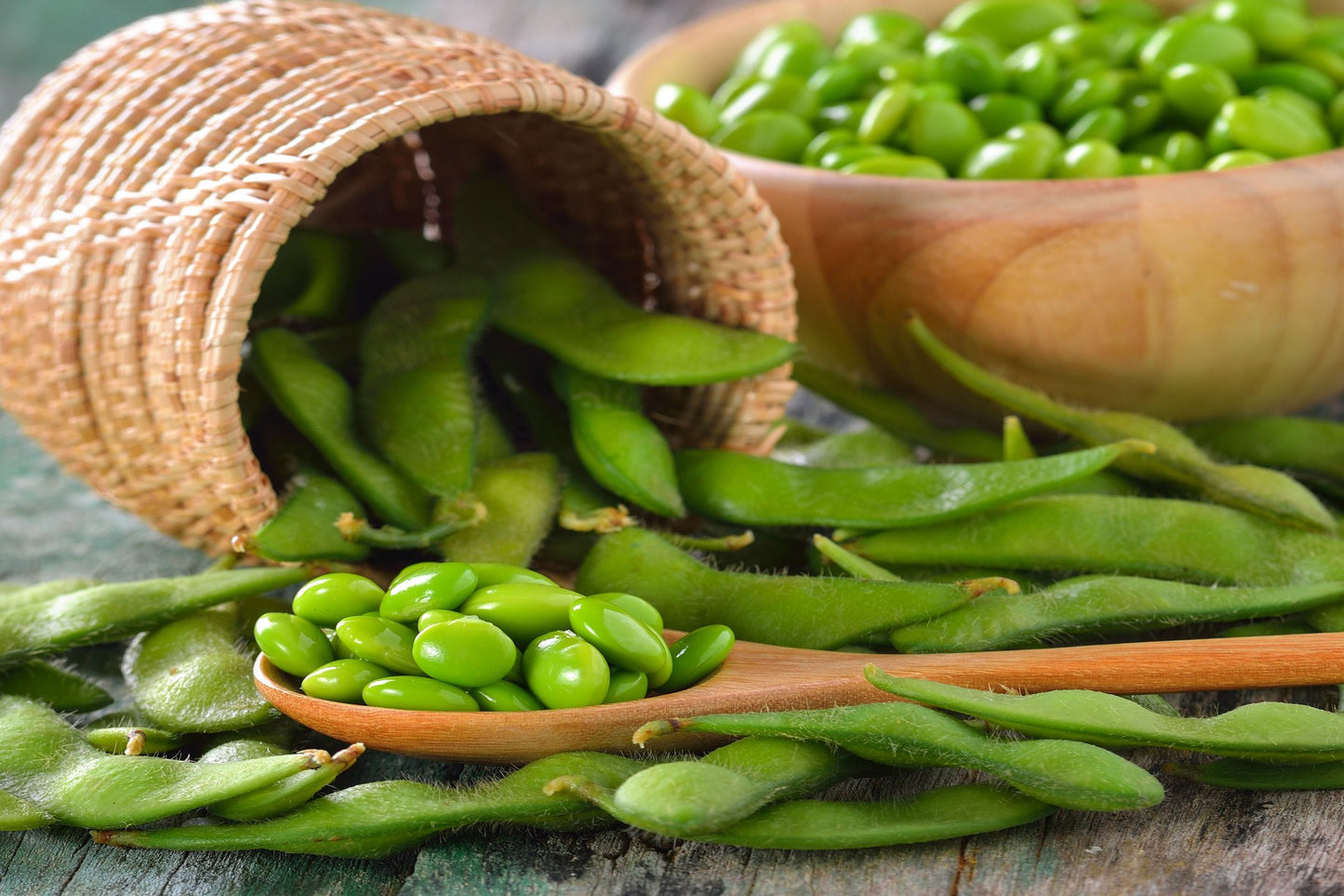 SOYBEAN - Edamame seeds