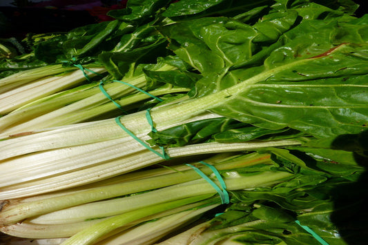 Silverbeet (Swiss Chard) – Fordhook Giant