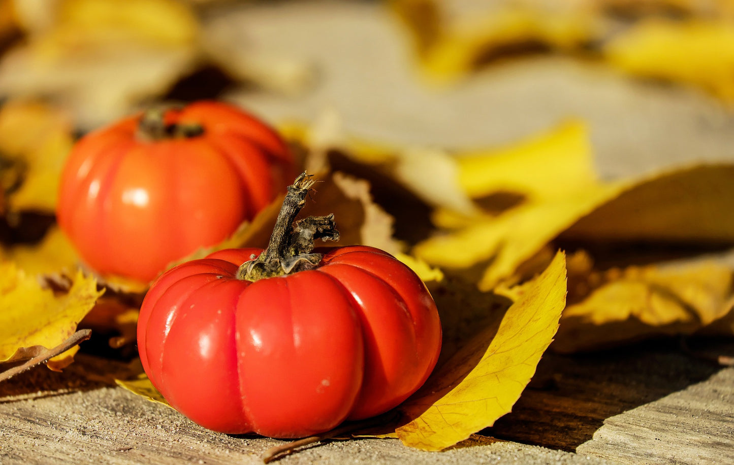 Tomato - Beefsteak seeds