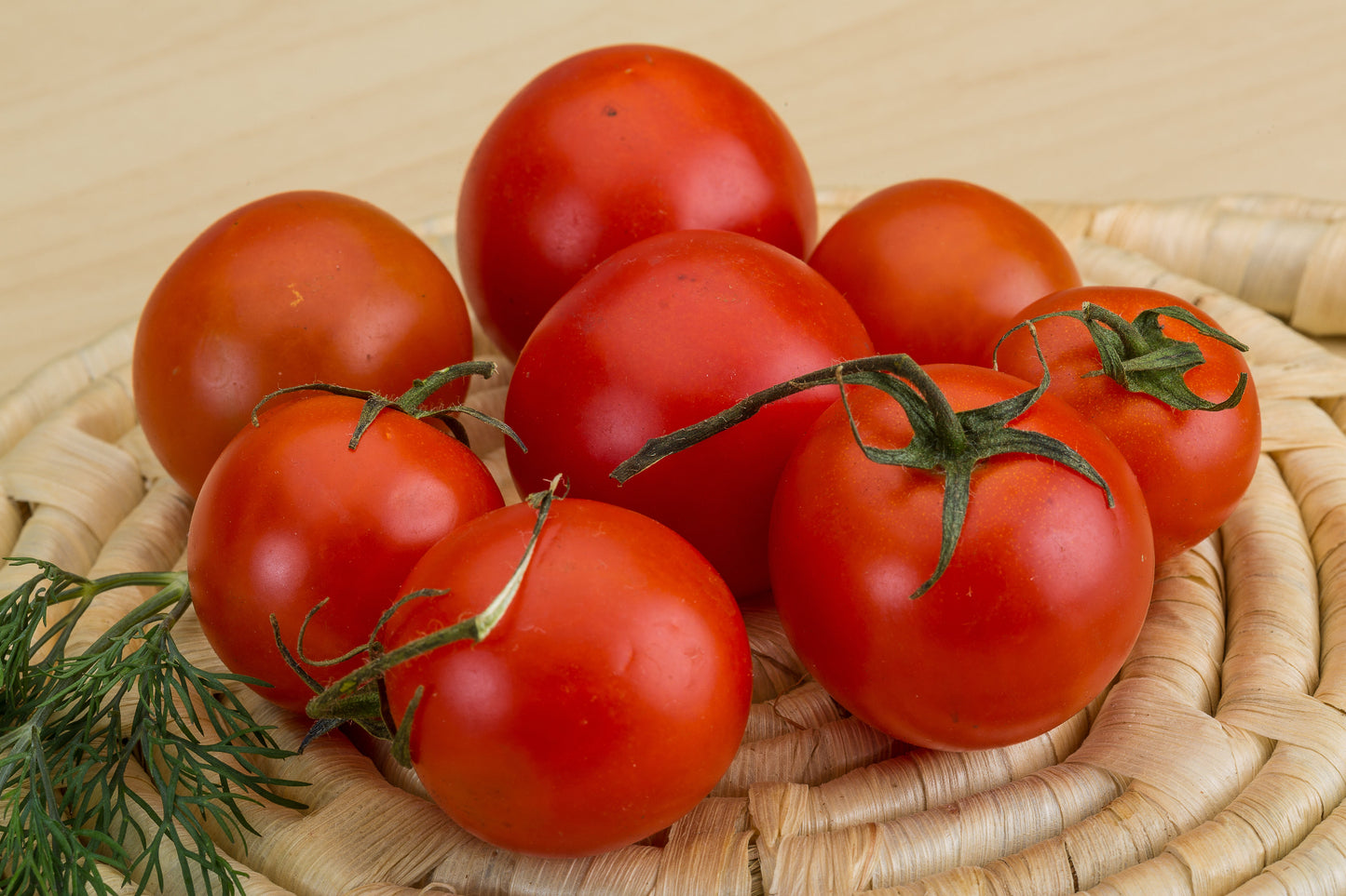 Tomato Money Maker Seeds