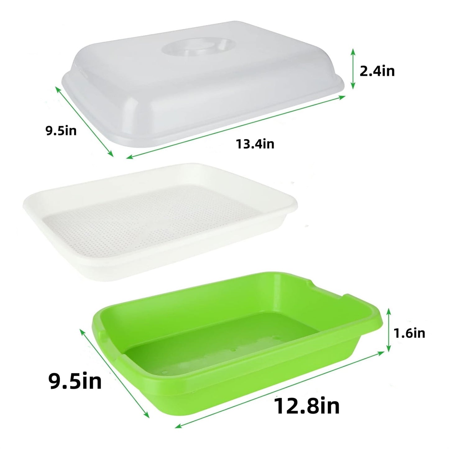 Seed Sprouting & Microgreens Tray – 32.5 × 24.1cm