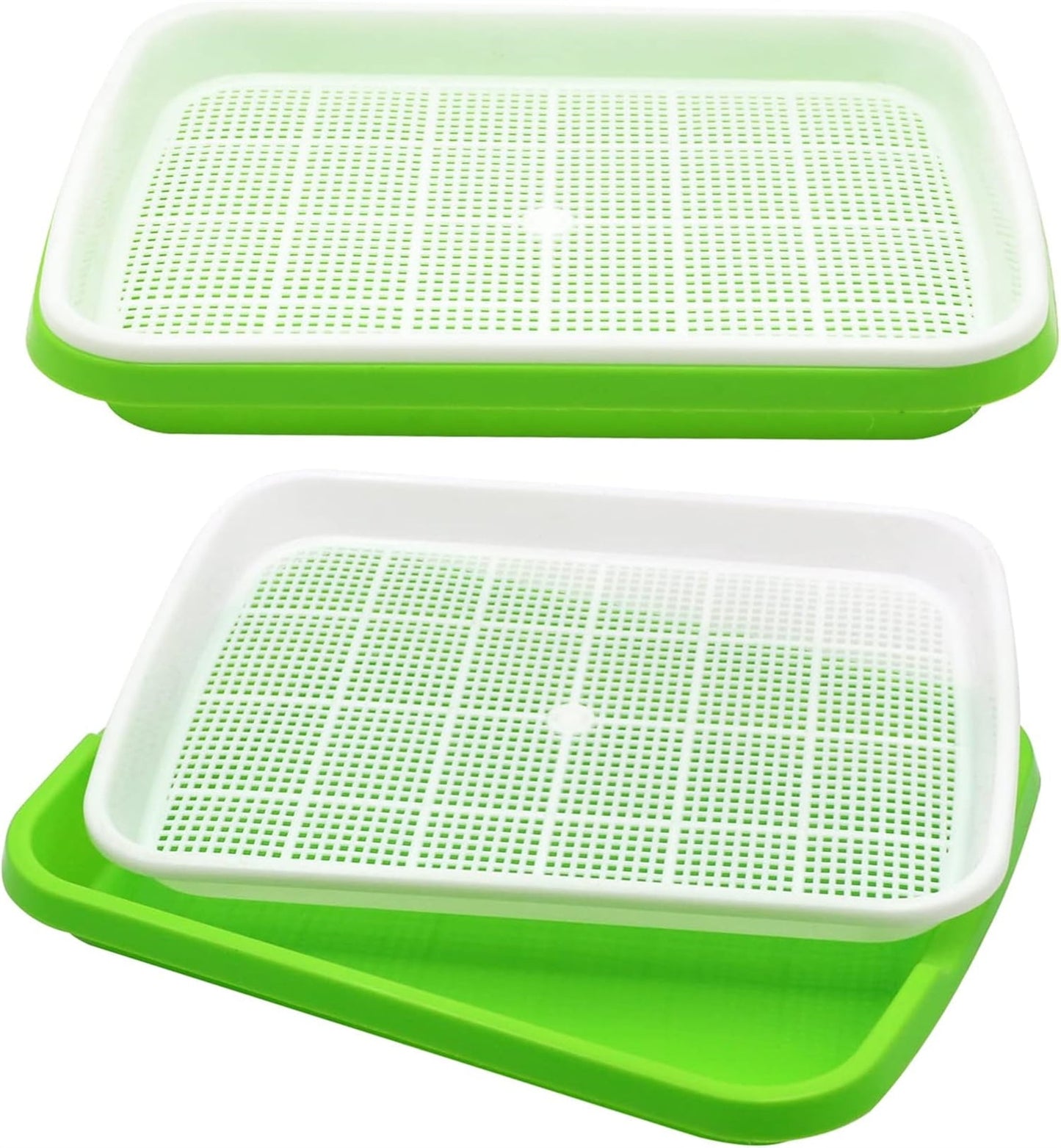 Seed Sprouting & Microgreens Tray – 32.5 × 24.1cm
