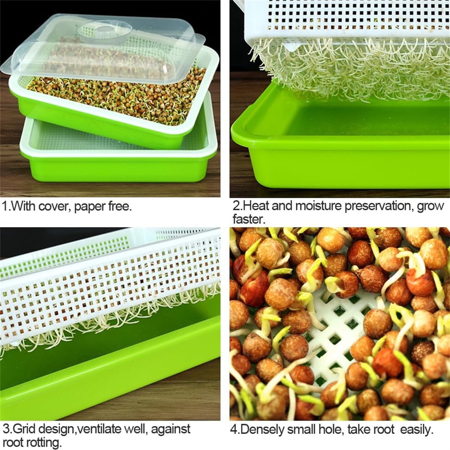 Seed Sprouting & Microgreens Tray – 32.5 × 24.1cm