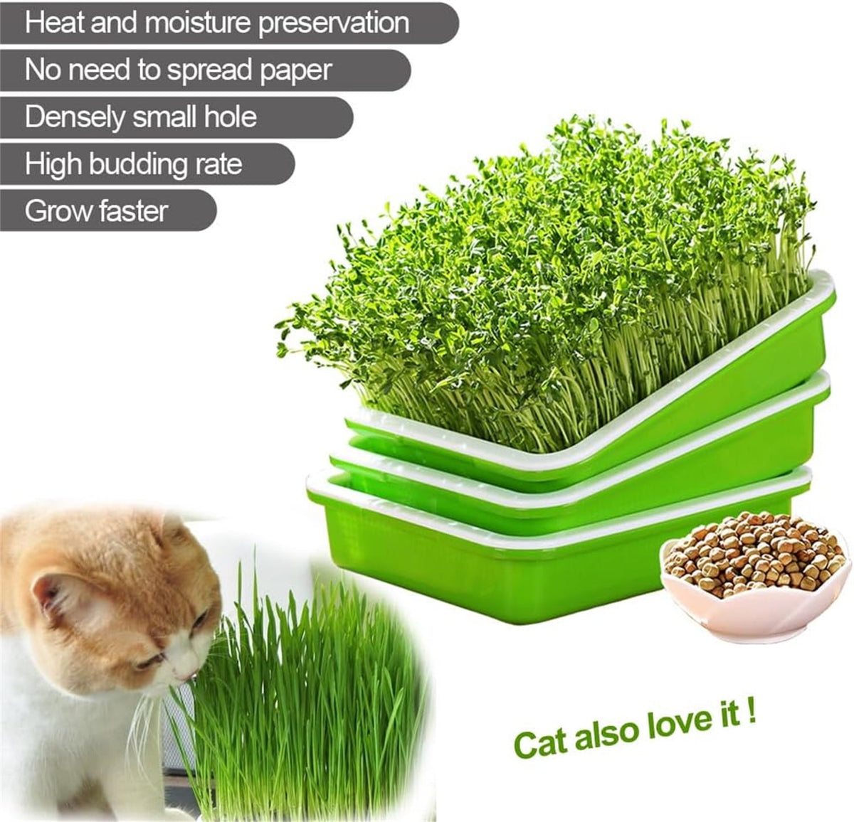 Seed Sprouting & Microgreens Tray – 32.5 × 24.1cm