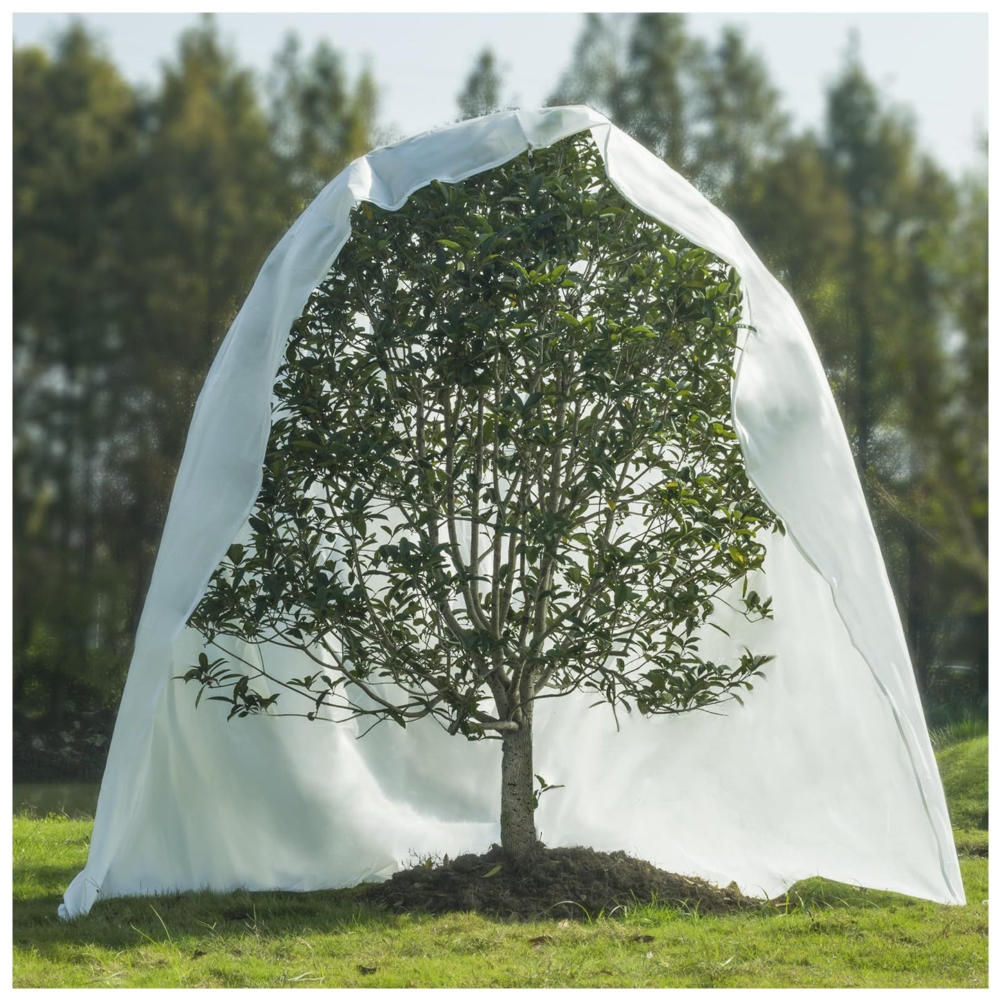 Plant Frost Protection Cover with Zip – 2.4 × 2m