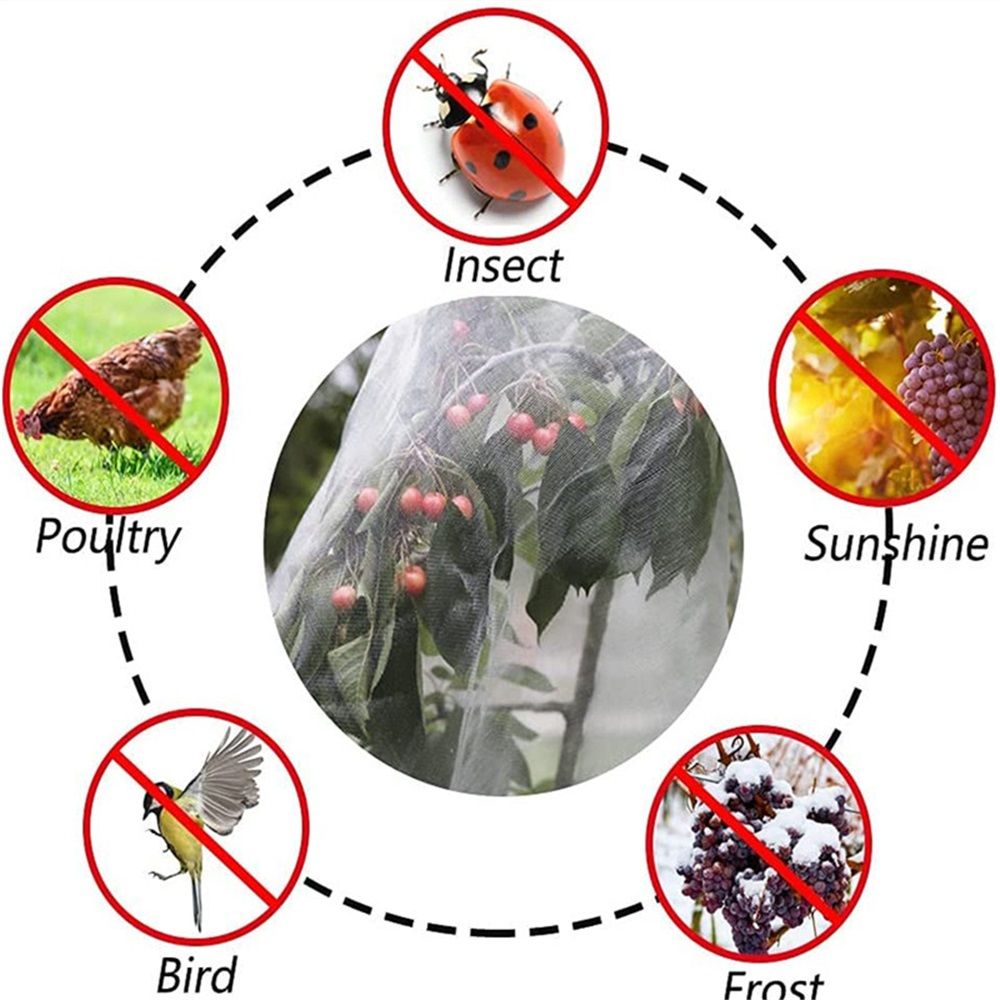 Plant Frost Protection Cover with Zip – 2.4 × 2m