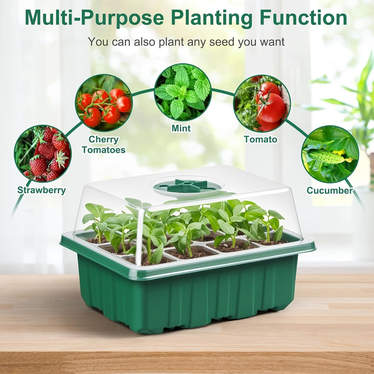 24-Cell Seed Starter Tray with Humidity Dome – 3 Piece Set