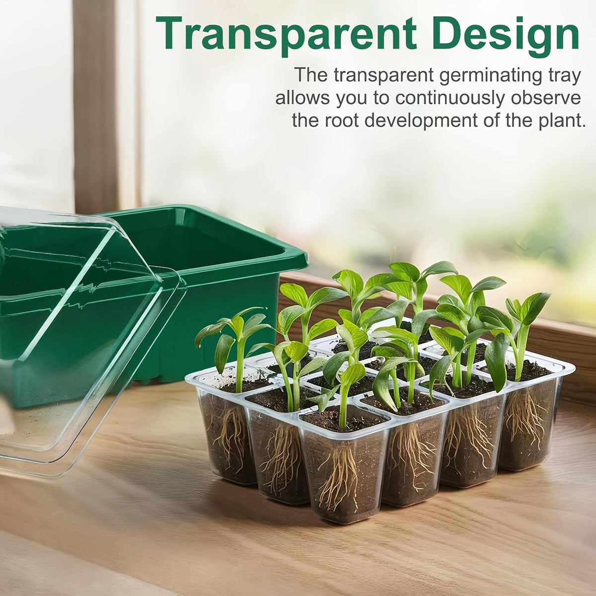 24-Cell Seed Starter Tray with Humidity Dome – 3 Piece Set