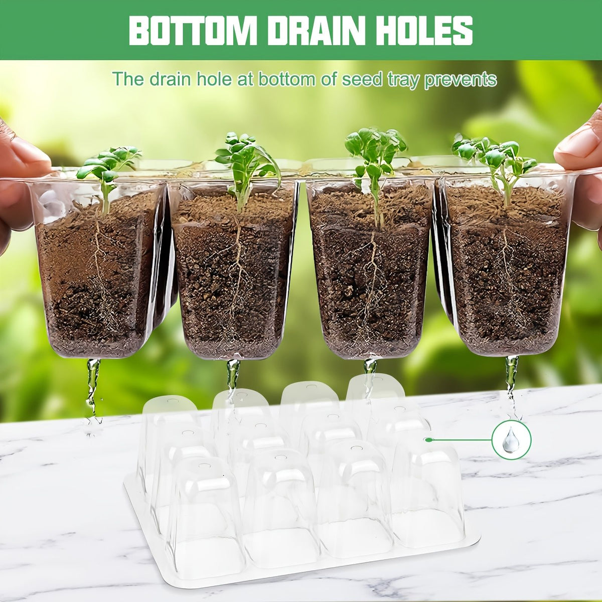 24-Cell Seed Starter Tray with Humidity Dome – 3 Piece Set