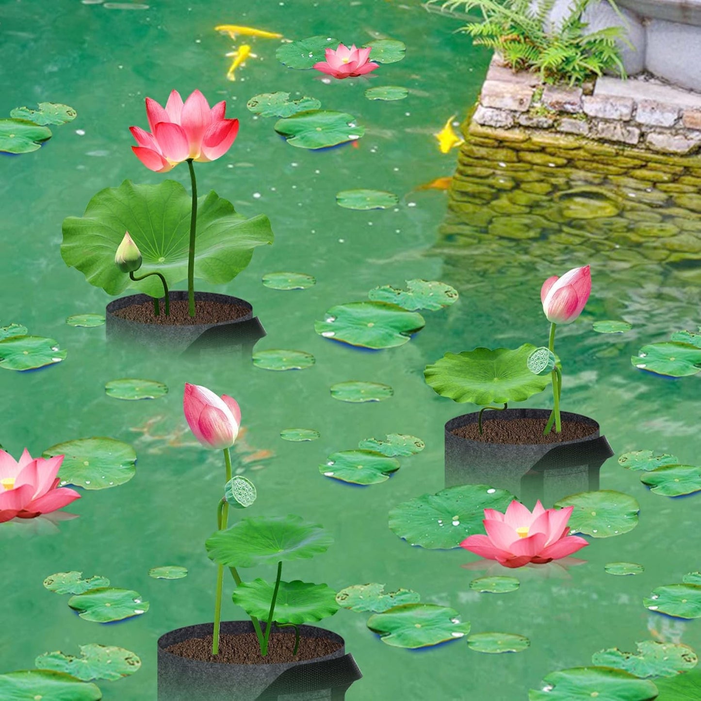 12 Pack Aquatic Plant Pots for Pond, Reusable Fabric Aquatic Plant Pots, Breathable Pond Plant Basket Grow Bags with Handles for Aquatic Plants, Bog Plant, Water Lily, Lotus, Flower (1 Gallon)