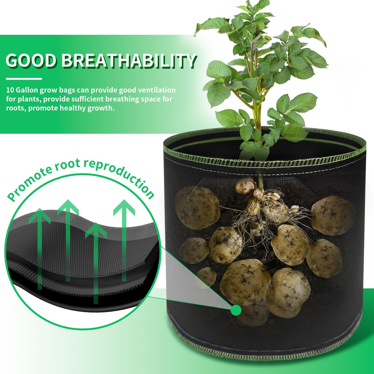 1 Gallon Grow Bags Heavy Duty Container Thickened Nonwoven Fabric Plant Pots with Handles Made of growth friendly