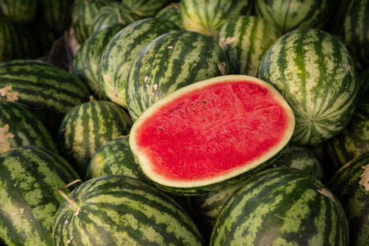 Watermelon- Warpaint (Crimson Sweet)